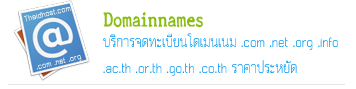  domain name .com .net .org onlinenic ҤһѴ